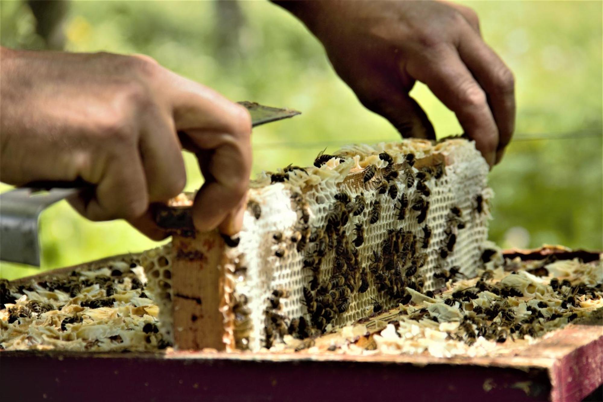 Agritur Ca' De Mel Villa Fiavè Eksteriør bilde