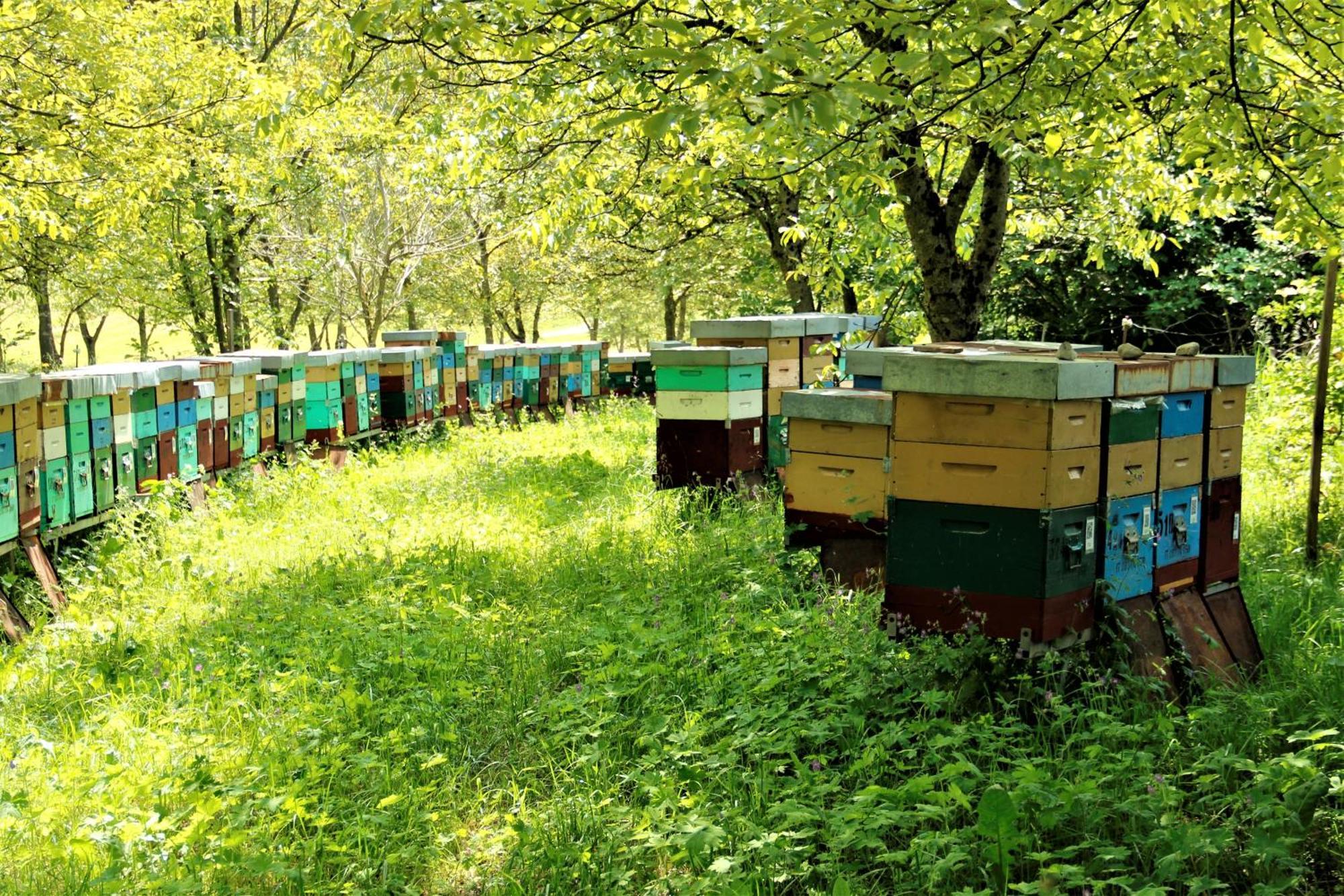Agritur Ca' De Mel Villa Fiavè Eksteriør bilde